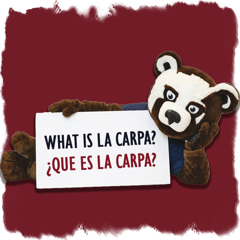 What is la carpa photo